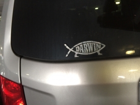 Darwin Fish car decor